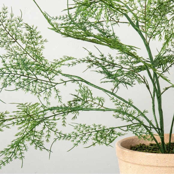 Hearth and Hand with Magnolia Faux Fern Potted Plant 18.5” x 22” - Picture 3 of 5